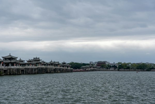 Explorer les régimes protéinés du monde entier